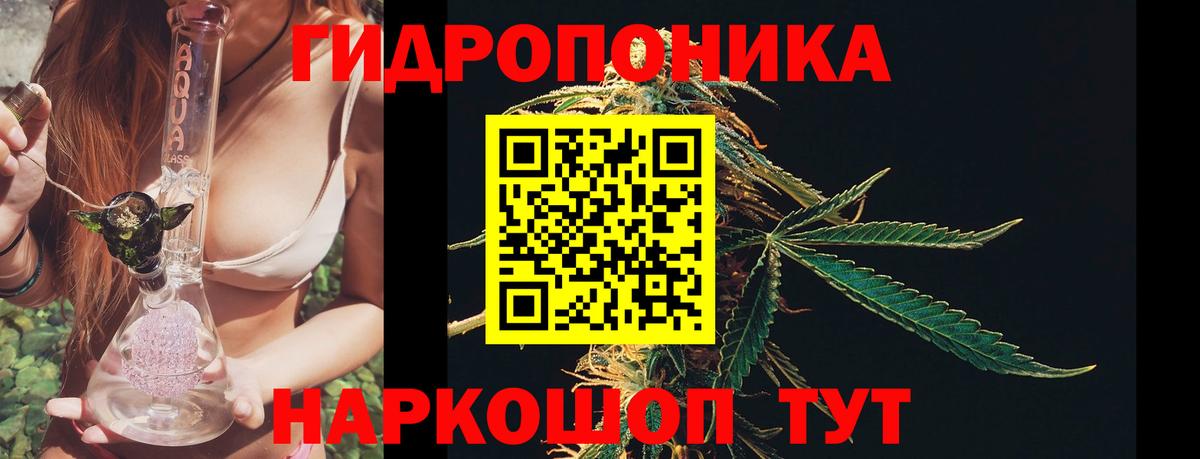 Каннабис марихуана  Вход с VPN  МАРИХУАНА тримм  МАРИХУАНА Bruce Banner  Мурманск 